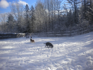 Perfect winter day